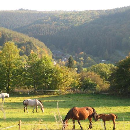 Pretty Cottage Ardennes Near The Valley Of Lesse Vencimont Buitenkant foto