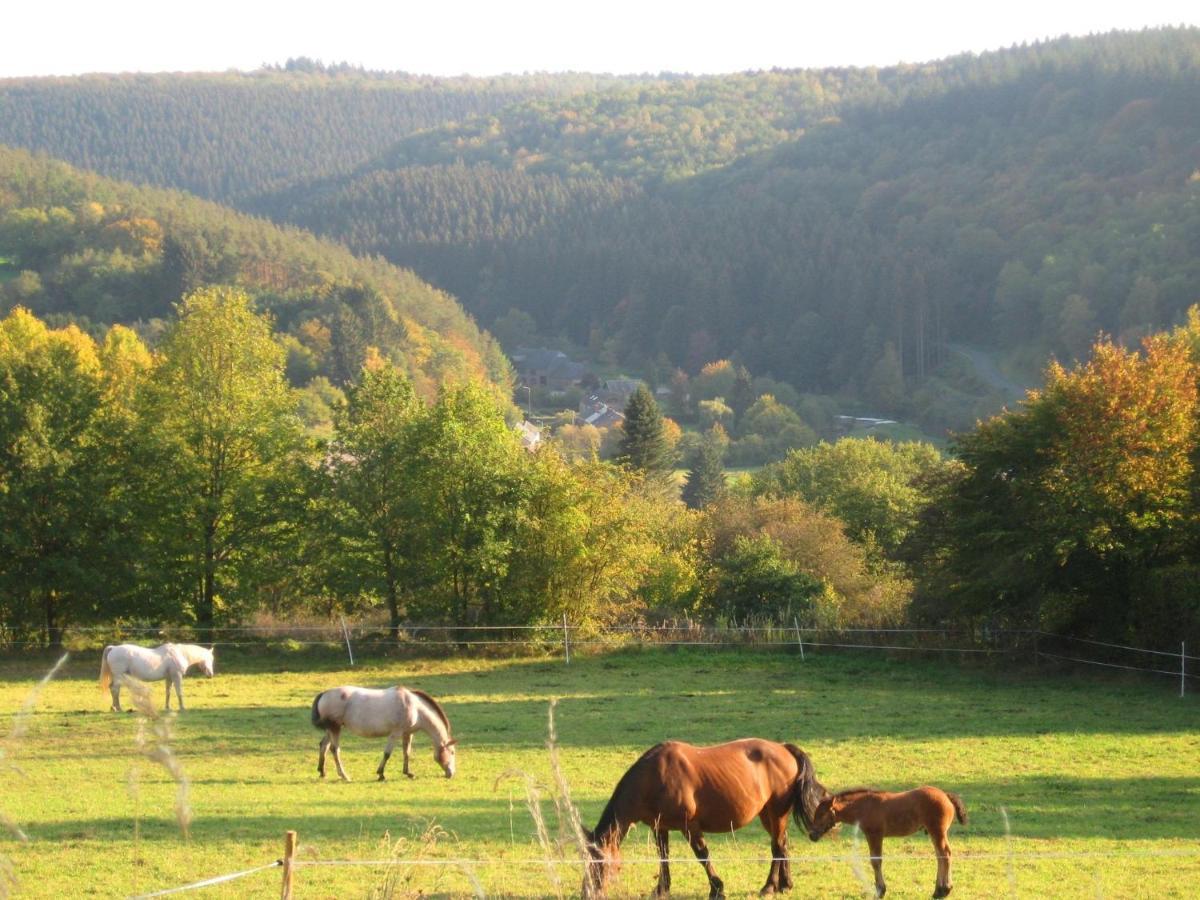 Pretty Cottage Ardennes Near The Valley Of Lesse Vencimont Buitenkant foto
