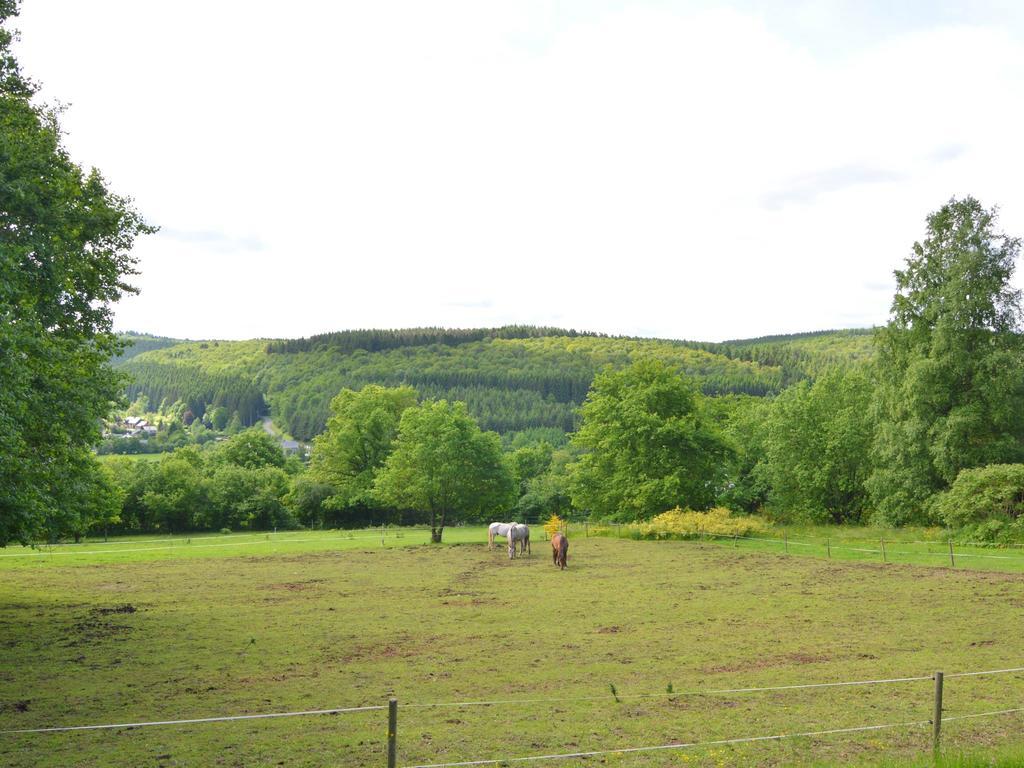 Pretty Cottage Ardennes Near The Valley Of Lesse Vencimont Buitenkant foto